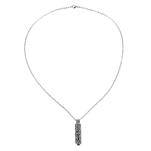 KONTONTY Urne Anhänger Halskette Männer klobig Halsketten Asche Halskette haustiere pet Urnenkette für Asche für Frauen Halskette zur Erinnerung an die Einäscherung Rostfreier Stahl Silver von KONTONTY