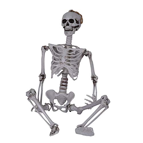 KOOMAL Halloween-Skelett, realistisches lebensgroßes Skelett, Ganzkörper-bewegliche Gelenke, menschliches Skelettmodell, Spukhaus, Halloween-Requisiten, gruselige Party-Dekoration (90 cm) von KOOMAL