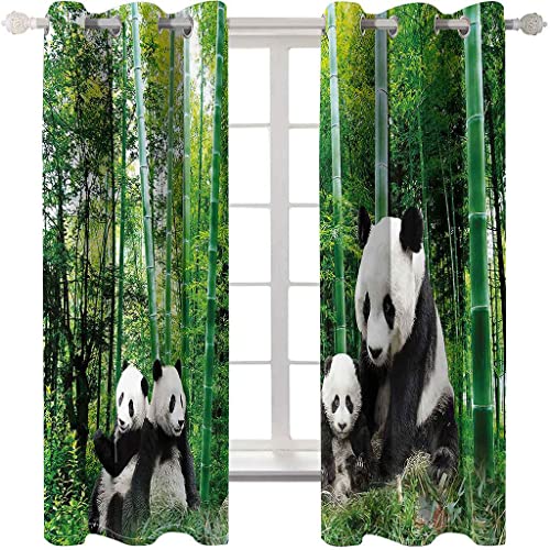 KQDMYT Blickdicht Ösen Vorhang 2Er Set Grüner Bambus-Wald-Panda Gardine Geräuschreduzierung Sonnenschutz Fenstervorhang Verdunkelungsvorhang Für Wohnzimmer Schlafzimmer Kinderzimmer 150x166cm von KQDMYT