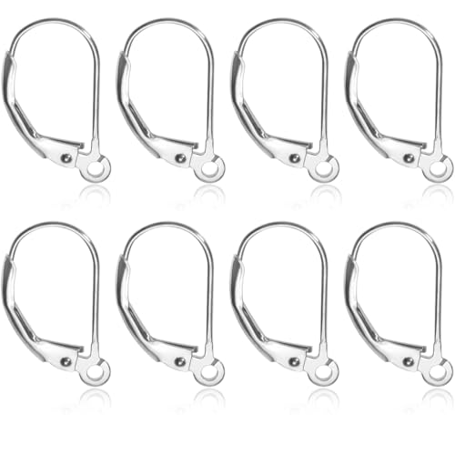 KSJEHW 8 Stücke Hebel Zurück Ohrhaken Französische Ohrringhaken für Schmuckherstellung, DIY Ohrhänger Schmuckherstellun(Silber, 16x10mm) von KSJEHW