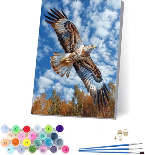 Adler Malen Nach Zahlen Erwachsene Mit Rahmen, Malen Nach Zahlen Wolke, DIY Set Erwachsene Mit 3 Pinseln und Acrylfarbe Knitterfreie Leinwand, Paint by Numbers für Deko Wohnzimmer 50x65cm I-4143 von KUEAJIOU