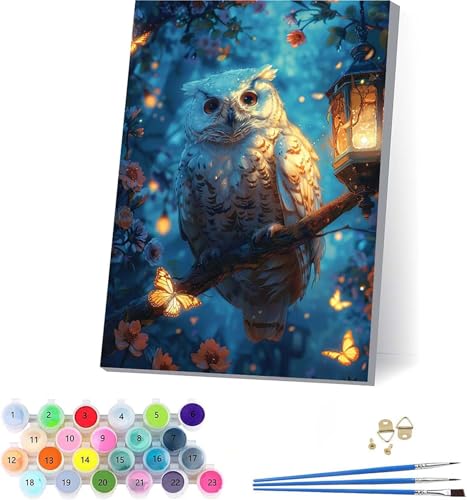 Eule Malen Nach Zahlen Erwachsene Mit Rahmen, Malen Nach Zahlen Schmetterling, DIY Set Erwachsene Mit 3 Pinseln und Acrylfarbe, Deko Wohnzimmer und Wanddeko, Geschenke für Frauen 70x95cm I-9780 von KUEAJIOU