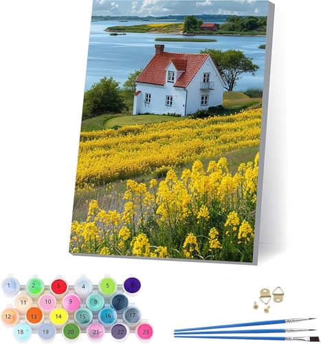 HäUser Malen Nach Zahlen Erwachsene Mit Rahmen, Malen Nach Zahlen Sternenhimmel, DIY Set Erwachsene Mit 3 Pinseln und Acrylfarbe, Deko Wohnzimmer und Wanddeko, Geschenke für Frauen 70x95cm K-1657 von KUEAJIOU