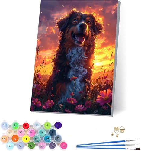 Sonnenuntergang Malen Nach Zahlen Erwachsene Mit Rahmen, Malen Nach Zahlen Hund, DIY Set Erwachsene Mit 3 Pinseln und Acrylfarbe, Deko Wohnzimmer und Wanddeko, Geschenke für Frauen 70x95cm N-8841 von KUEAJIOU