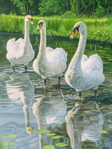 Diamond Painting Gans, Teich Diamond Painting Erwachsene, 5D DIY Bastelset Erwachsene Frauen, Vollbohrer Diamanten Malerei Stickerei Kreuzstich Set für Deko Wohnzimmer, Geschenke 60X80cm U-4215 Diamond Painting Gans, Teich Diamond Painting Erwachsene, 5D DIY Bastelset Erwachsene Frauen, Vollbohrer Diamanten Malerei Stickerei Kreuzstich Set für Deko Wohnzimmer, Geschenke 60X80cm U-4215 von KUEGDUNG