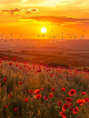 Diamond Painting Sonnenuntergang, Vogel Diamond Painting Erwachsene, 5D DIY Bastelset Erwachsene Frauen, Vollbohrer Diamanten Malerei Stickerei Kreuzstich Set für Deko Wohnzimmer 60X80cm J-9065 Diamond Painting Sonnenuntergang, Vogel Diamond Painting Erwachsene, 5D DIY Bastelset Erwachsene Frauen, Vollbohrer Diamanten Malerei Stickerei Kreuzstich Set für Deko Wohnzimmer 60X80cm J-9065 von KUEGDUNG