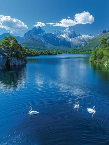 Gans Malen Nach Zahlen Erwachsene mit Rahmen, Malen Nach Zahlen Ozean, DIY Set Erwachsene, Paint by Numbers Set mit Pinseln und Acrylfarben, Deko Wohnzimmer, Geschenke für Frauen 100x135cm T-9747 Gans Malen Nach Zahlen Erwachsene mit Rahmen, Malen Nach Zahlen Ozean, DIY Set Erwachsene, Paint by Numbers Set mit Pinseln und Acrylfarben, Deko Wohnzimmer, Geschenke für Frauen 100x135cm T-9747 von KUEGDUNG