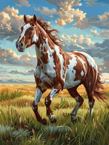 Horse Malen Nach Zahlen Erwachsene, Malen Nach Zahlen Tier, DIY Set Erwachsene Mit 3 Pinseln und Acrylfarbe, Paint by Numbers Handgemalt Ölgemälde Kit für Deko Wohnzimmer Geschenke 30x40cm N-6185 Horse Malen Nach Zahlen Erwachsene, Malen Nach Zahlen Tier, DIY Set Erwachsene Mit 3 Pinseln und Acrylfarbe, Paint by Numbers Handgemalt Ölgemälde Kit für Deko Wohnzimmer Geschenke 30x40cm N-6185 von KUEGDUNG