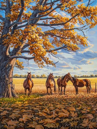 Horse Malen Nach Zahlen Erwachsene, Tier Malen Nach Zahlen, DIY Handgemalt Ölgemälde Kit Mit 3 Pinseln und Acrylfarbe, Paint by Numbers Bastelset Erwachsene für Deko Wohnzimmer 30x40cm 9-3591 Horse Malen Nach Zahlen Erwachsene, Tier Malen Nach Zahlen, DIY Handgemalt Ölgemälde Kit Mit 3 Pinseln und Acrylfarbe, Paint by Numbers Bastelset Erwachsene für Deko Wohnzimmer 30x40cm 9-3591 von KUEGDUNG