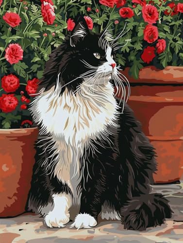 Katze Malen Nach Zahlen Erwachsene, Blume Malen Nach Zahlen, DIY Handgemalt Ölgemälde Kit Mit 3 Pinseln und Acrylfarbe, Paint by Numbers Bastelset Erwachsene für Deko Wohnzimmer 40x50cm M-7566 Katze Malen Nach Zahlen Erwachsene, Blume Malen Nach Zahlen, DIY Handgemalt Ölgemälde Kit Mit 3 Pinseln und Acrylfarbe, Paint by Numbers Bastelset Erwachsene für Deko Wohnzimmer 40x50cm M-7566 von KUEGDUNG