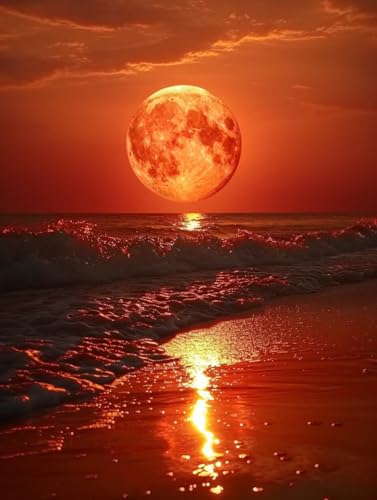 Sonne Malen Nach Zahlen Erwachsene mit Rahmen, Malen Nach Zahlen Ozean, DIY Set Erwachsene, Paint by Numbers Set mit Pinseln und Acrylfarben, Deko Wohnzimmer, Geschenke für Frauen 70x95cm 8-8564 Sonne Malen Nach Zahlen Erwachsene mit Rahmen, Malen Nach Zahlen Ozean, DIY Set Erwachsene, Paint by Numbers Set mit Pinseln und Acrylfarben, Deko Wohnzimmer, Geschenke für Frauen 70x95cm 8-8564 von KUEGDUNG