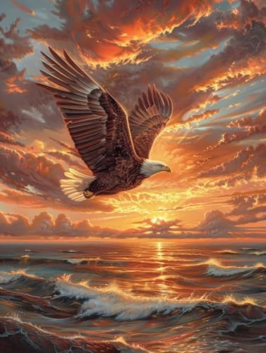 Sonnenuntergang Malen Nach Zahlen Erwachsene, Adler Malen Nach Zahlen, DIY Handgemalt Ölgemälde Kit Mit 3 Pinseln und Acrylfarbe, Paint by Numbers Bastelset Erwachsene, Deko Wohnzimmer 60x80cm S-5392 Sonnenuntergang Malen Nach Zahlen Erwachsene, Adler Malen Nach Zahlen, DIY Handgemalt Ölgemälde Kit Mit 3 Pinseln und Acrylfarbe, Paint by Numbers Bastelset Erwachsene, Deko Wohnzimmer 60x80cm S-5392 von KUEGDUNG