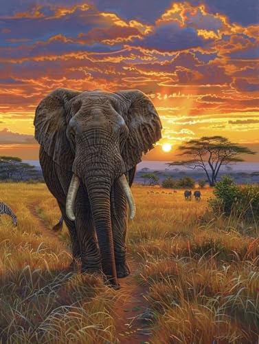 Sonnenuntergang Malen Nach Zahlen Erwachsene, Elefant Malen Nach Zahlen, DIY Handgemalt Ölgemälde Kit Mit 3 Pinseln und Acrylfarbe, Paint by Numbers Bastelset Erwachsene, Geschenke 100x135cm W-3197 Sonnenuntergang Malen Nach Zahlen Erwachsene, Elefant Malen Nach Zahlen, DIY Handgemalt Ölgemälde Kit Mit 3 Pinseln und Acrylfarbe, Paint by Numbers Bastelset Erwachsene, Geschenke 100x135cm W-3197 von KUEGDUNG