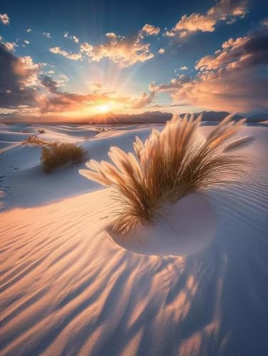 Sonnenuntergang Malen Nach Zahlen Erwachsene mit Rahmen, Malen Nach Zahlen Landschaft, DIY Set Erwachsene, Paint by Numbers Set mit Pinseln und Acrylfarben, Deko Wohnzimmer Geschenke 100x135cm C-8959 Sonnenuntergang Malen Nach Zahlen Erwachsene mit Rahmen, Malen Nach Zahlen Landschaft, DIY Set Erwachsene, Paint by Numbers Set mit Pinseln und Acrylfarben, Deko Wohnzimmer Geschenke 100x135cm C-8959 von KUEGDUNG