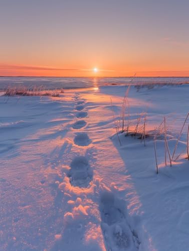 Sonnenuntergang Malen Nach Zahlen Erwachsene mit Rahmen, Malen Nach Zahlen Schneeszene, DIY Set Erwachsene, Paint by Numbers Set mit Pinseln und Acrylfarben, Deko Wohnzimmer Geschenke 70x95cm 5-3601 Sonnenuntergang Malen Nach Zahlen Erwachsene mit Rahmen, Malen Nach Zahlen Schneeszene, DIY Set Erwachsene, Paint by Numbers Set mit Pinseln und Acrylfarben, Deko Wohnzimmer Geschenke 70x95cm 5-3601 von KUEGDUNG