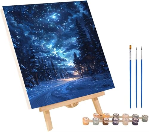 Sternenhimmel Malen Nach Zahlen Erwachsene mit Rahmen, Malen Nach Zahlen Schneeszene, DIY Set Erwachsene, Paint by Numbers Set mit Pinseln und Acrylfarben, Deko Wohnzimmer Geschenke 70x95cm U-2523 von KUEGDUNG