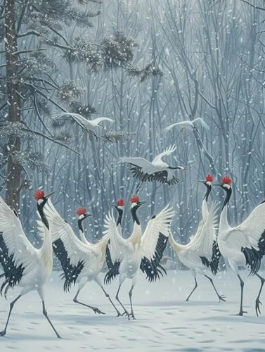 Vogel Malen Nach Zahlen Erwachsene, Malen Nach Zahlen Schneeszene, DIY Set Erwachsene Mit 3 Pinseln und Acrylfarbe, Paint by Numbers Handgemalt Ölgemälde Kit für Deko Wohnzimmer 30x40cm 7-4490 Vogel Malen Nach Zahlen Erwachsene, Malen Nach Zahlen Schneeszene, DIY Set Erwachsene Mit 3 Pinseln und Acrylfarbe, Paint by Numbers Handgemalt Ölgemälde Kit für Deko Wohnzimmer 30x40cm 7-4490 von KUEGDUNG