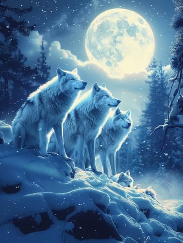 Wolf Malen Nach Zahlen Erwachsene mit Rahmen, Malen Nach Zahlen Tier, DIY Set Erwachsene, Paint by Numbers Set mit Pinseln und Acrylfarben, Deko Wohnzimmer, Geschenke für Frauen 40x50cm 0-6632 von KUEGDUNG