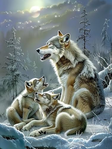 Wolf Malen Nach Zahlen Erwachsene mit Rahmen, Malen Nach Zahlen Tier, DIY Set Erwachsene, Paint by Numbers Set mit Pinseln und Acrylfarben, Deko Wohnzimmer, Geschenke für Frauen 40x50cm 3-7724 von KUEGDUNG