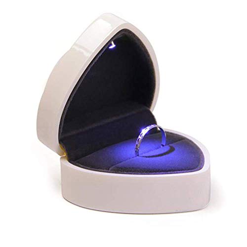 KWMAEEUID Schmuckschatulle – Anhänger Halskette Schmuckschatulle Hochzeit Geschenkbox Schmuck Geschenk Präsentationsbox (Farbe: Argento) von KWMAEEUID