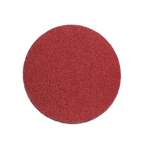 Schleifscheibe, Exzenterschleifer, Körnung 80, 100 Stück, für Autos, Schiffe, Holz, Schleifen, Polieren (22,9 cm) von KXWDKJ