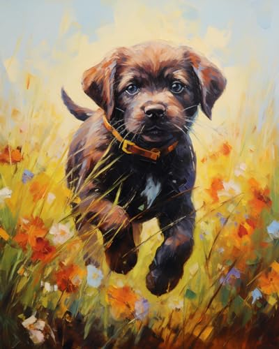 Kreuzstich-Stickerei-Set, neugieriger Labrador Retriever-Hund, DIY-Designs, Kreuzstich, einfaches Zubehör, Handarbeit, Nadelspitzen-Stickerei, Geschenk für Heimdekoration, 40,6 x 50,8 cm Kreuzstich-Stickerei-Set, neugieriger Labrador Retriever-Hund, DIY-Designs, Kreuzstich, einfaches Zubehör, Handarbeit, Nadelspitzen-Stickerei, Geschenk für Heimdekoration, 40,6 x 50,8 cm von KY-link