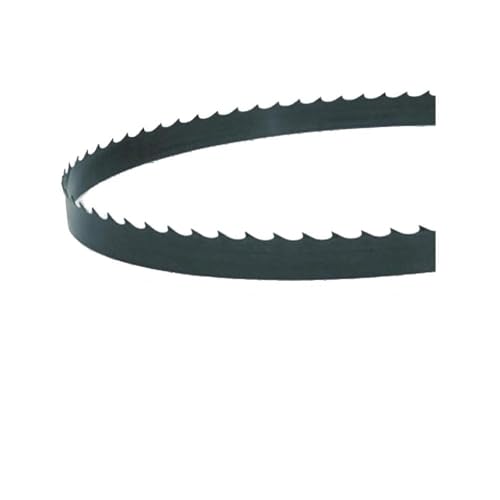 Bandsägeblätter,Bandsägeblatt, 1400 mm Bandsägeblätter 1400 x 6,35 x 0,35 mm TPI 6 10 14 Bandsäge for Holz 1/2/3 Stück(2PCS 10TPI) von KYUEPONG