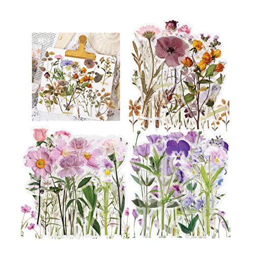 120 Stück Blumen Scrapbooking Aufkleber Sticker Vintage Stickerbögen PET Transparente Naturthemen Pflanzen Aufkleber für Fotoalbum Sammelalbum Notizbuch Tagebuch Laptops DIY Dekoration (B) von Kaderas