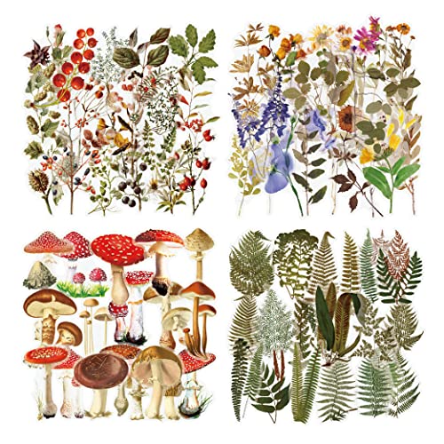 160 Stück Transparente Dekorative Aufkleber, Blumen Pflanze Pilz Farn Thema Bullet Journal Sticker, PET Durchsichtiger Hintergrund für DIY Scrapbook Fotoalben Tagebüchern 160 Stück Transparente Dekorative Aufkleber, Blumen Pflanze Pilz Farn Thema Bullet Journal Sticker, PET Durchsichtiger Hintergrund für DIY Scrapbook Fotoalben Tagebüchern von Kaderas