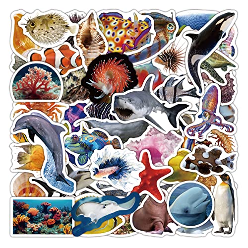 Meerestiere Sticker 50 Stück, Meereswelt Ocean Fische Aufkleber für Kinder Helm Laptop Kindle Meerestiere Sticker 50 Stück, Meereswelt Ocean Fische Aufkleber für Kinder Helm Laptop Kindle von Kaderas
