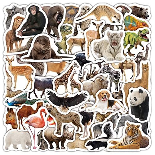 Tier Kinder Aufkleber Stickers 50 Stück, Realistisch Animal Vinyl Decals für Laptop Fahrrad Skateboard Gepäck von Kaderas