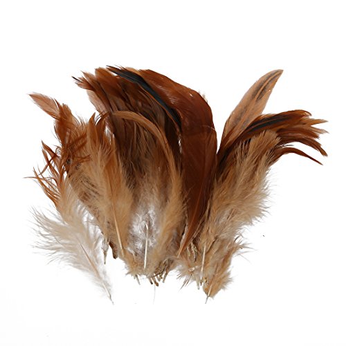 Kahdsvby Natürliche Hahnenfeder, Dekoration – perfekt für Kostüme, Hüte, Innendekoration etc von Kahdsvby