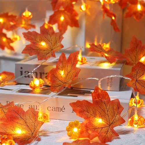 Kaleora Ahornblatt Kürbis Lichterkette, 3M 20 LED Lichterkette mit Herbstblättern und Kürbissen Batteriebetrieben, Herbst Lichterketten for Herbstdeko Erntedankfest Halloween Party Deko Kaleora Ahornblatt Kürbis Lichterkette, 3M 20 LED Lichterkette mit Herbstblättern und Kürbissen Batteriebetrieben, Herbst Lichterketten for Herbstdeko Erntedankfest Halloween Party Deko von Kaleora