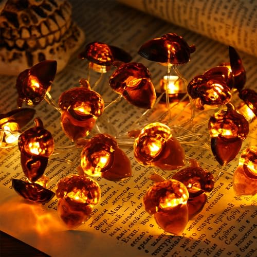 Kaleora Eicheln Lichterkette, 2M 20 LED Herbst Lichterkette Batteriebetrieben, Herbst Eichel Dekoratives Licht für Erntedankfest, Weihnachten, Halloween, Thanksgiving, Herbstdeko Kaleora Eicheln Lichterkette, 2M 20 LED Herbst Lichterkette Batteriebetrieben, Herbst Eichel Dekoratives Licht für Erntedankfest, Weihnachten, Halloween, Thanksgiving, Herbstdeko von Kaleora