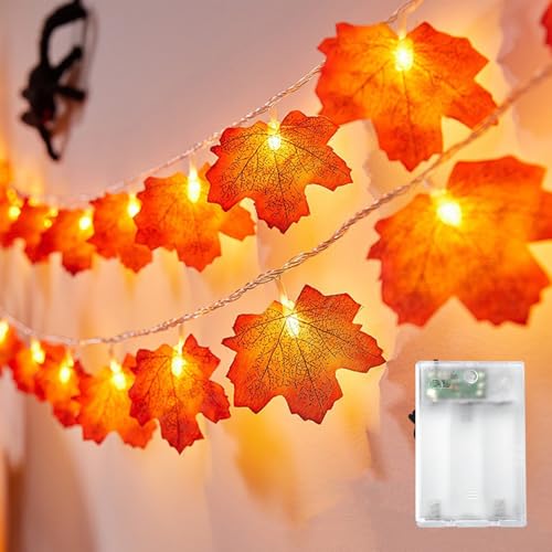 Kaleora Herbst Lichterkette, 3M 20 LED Ahornbältter Lichterketten Batteriebetrieben, Ahornblatt Girlande Lichterkette für Halloween Herbstdeko Weihnachtsdeko Erntedankfest Kaleora Herbst Lichterkette, 3M 20 LED Ahornbältter Lichterketten Batteriebetrieben, Ahornblatt Girlande Lichterkette für Halloween Herbstdeko Weihnachtsdeko Erntedankfest von Kaleora
