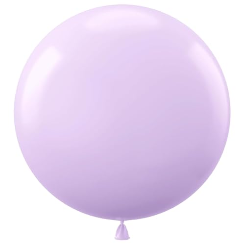 Kalisan Latex Standard Ballon (2 Stück), Flieder, Einheitsgröße von Kalisan