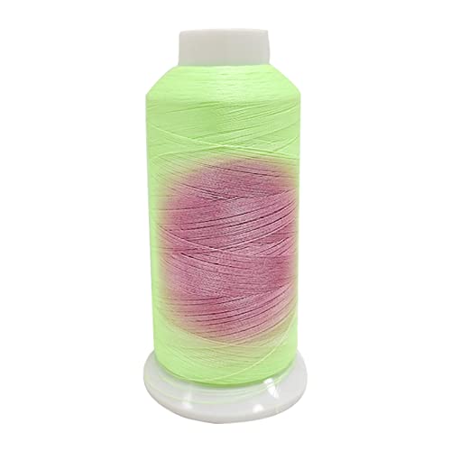 Polyester-Stickmaschinengarn, Allzweck-Farbwechsel, 150D/2 Fäden Polyester-Stickmaschinengarn, Allzweck-Farbwechsel, 150D/2 Fäden von Kalttoy
