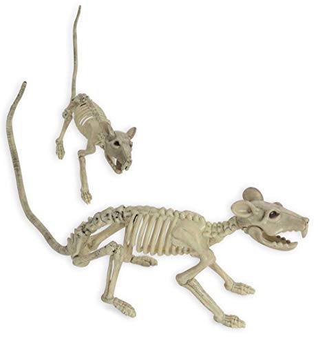 KarnevalsTeufel Ratten Fossil Deko Halloween Grusel Nagetier Skelett Knochengerüst außergewöhnlich erschreckend von KarnevalsTeufel.de