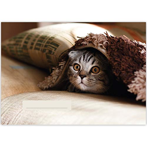 1 Katzen A3 Kinder Malblock Motiv "Peek-a-boo" • Zeichenblock Skizzen-Block 25 Blatt weiß, kopfverleimt, holzfreies Qualitäts-Papier 100g/m²- für Schule, Basteln, Hobby von Kartenkaufrausch