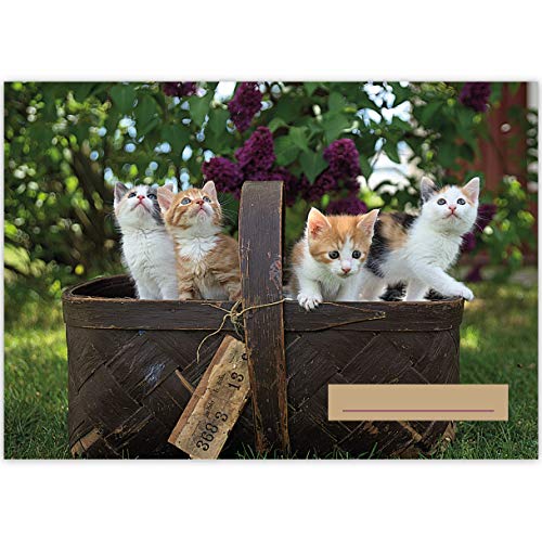 1 Tier A3 Kinder Malblock Motiv "Katzen Korb" • Zeichenblock Skizzen-Block 25 Blatt weiß, kopfverleimt, holzfreies Qualitäts-Papier 100g/m²- für Schule, Basteln, Hobby von Kartenkaufrausch