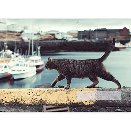 1 maritimer A3 Kinder Malblock Motiv "Hafen Katze" • Zeichenblock Skizzen-Block 25 Blatt weiß, kopfverleimt, holzfreies Qualitäts-Papier 100g/m²- für Schule, Basteln, Hobby 1 maritimer A3 Kinder Malblock Motiv "Hafen Katze" • Zeichenblock Skizzen-Block 25 Blatt weiß, kopfverleimt, holzfreies Qualitäts-Papier 100g/m²- für Schule, Basteln, Hobby von Kartenkaufrausch