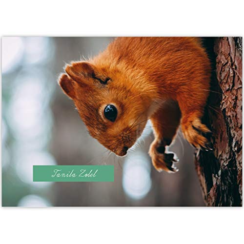 1 personalisierter, Tier A3 Kinder Malblock Motiv "Eichhörnchen" • Zeichenblock Skizzen-Block 25 Blatt blanko, kopfverleimt, holzfreies Qualitäts-Papier 100g/m²- für Schule, Basteln, Hobby 1 personalisierter, Tier A3 Kinder Malblock Motiv "Eichhörnchen" • Zeichenblock Skizzen-Block 25 Blatt blanko, kopfverleimt, holzfreies Qualitäts-Papier 100g/m²- für Schule, Basteln, Hobby von Kartenkaufrausch