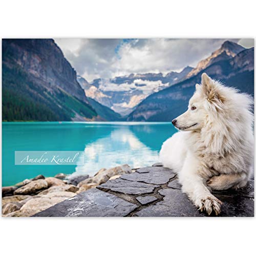 1 personalisierter, Tier A3 Kinder Malblock Motiv "Fjord Hund" • Zeichenblock Skizzen-Block 25 Blatt blanko, kopfverleimt, holzfreies Qualitäts-Papier 100g/m²- für Schule, Basteln, Hobby 1 personalisierter, Tier A3 Kinder Malblock Motiv "Fjord Hund" • Zeichenblock Skizzen-Block 25 Blatt blanko, kopfverleimt, holzfreies Qualitäts-Papier 100g/m²- für Schule, Basteln, Hobby von Kartenkaufrausch