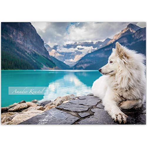 1 personalisierter, Tier A3 Kinder Malblock Motiv "Fjord Hund" • Zeichenblock Skizzen-Block 25 Blatt blanko, kopfverleimt, holzfreies Qualitäts-Papier 100g/m²- für Schule, Basteln, Hobby von Kartenkaufrausch