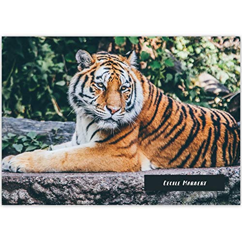 1 personalisierter, Tier A3 Kinder Malblock Motiv "Resting Tiger" • Zeichenblock Skizzen-Block 25 Blatt blanko, kopfverleimt, holzfreies Qualitäts-Papier 100g/m²- für Schule, Basteln, Hobby 1 personalisierter, Tier A3 Kinder Malblock Motiv "Resting Tiger" • Zeichenblock Skizzen-Block 25 Blatt blanko, kopfverleimt, holzfreies Qualitäts-Papier 100g/m²- für Schule, Basteln, Hobby von Kartenkaufrausch