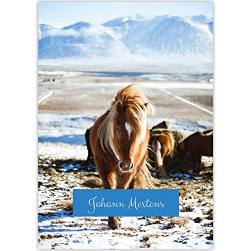 1 personalisierter, schöner Malblock A3 Kinder Motiv "Winter Pony" • Zeichenblock Skizzen-Block 25 Blatt blanko, kopfverleimt, holzfreies Qualitäts-Papier 100g/m²- für Schule, Basteln, Hobby 1 personalisierter, schöner Malblock A3 Kinder Motiv "Winter Pony" • Zeichenblock Skizzen-Block 25 Blatt blanko, kopfverleimt, holzfreies Qualitäts-Papier 100g/m²- für Schule, Basteln, Hobby von Kartenkaufrausch
