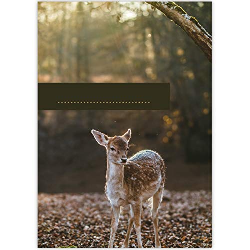1 schöner DIN A3 Kinder Malblock Motiv "Kitz im Wald", braun • Zeichenblock Skizzen-Block 25 Blatt weiß, kopfverleimt, holzfreies Qualitäts-Papier 100g/m²- für Schule, Basteln, Hobby von Kartenkaufrausch