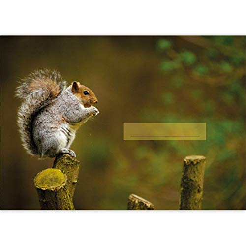 1 süßer Natur A3 Kinder Malblock Motiv "Eichhörnchen" • Zeichenblock Skizzen-Block 25 Blatt weiß, kopfverleimt, holzfreies Qualitäts-Papier 100g/m²- für Schule, Basteln, Hobby 1 süßer Natur A3 Kinder Malblock Motiv "Eichhörnchen" • Zeichenblock Skizzen-Block 25 Blatt weiß, kopfverleimt, holzfreies Qualitäts-Papier 100g/m²- für Schule, Basteln, Hobby von Kartenkaufrausch