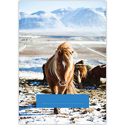 4 schöne DIN A3 Kinder Malblöcke "Winter Pony" • Malblock Zeichenblock Skizzen-block 25 Blatt blanko, kopfverleimt, holzfreies Qualitäts-Papier 100g/m²- für Schule, Basteln, Hobby 4 schöne DIN A3 Kinder Malblöcke "Winter Pony" • Malblock Zeichenblock Skizzen-block 25 Blatt blanko, kopfverleimt, holzfreies Qualitäts-Papier 100g/m²- für Schule, Basteln, Hobby von Kartenkaufrausch