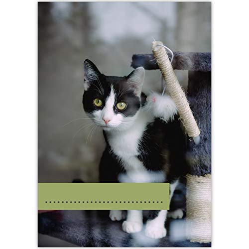 4 süße DIN A3 Kinder Malblöcke "Katzen Glück" • Malblock Zeichenblock Skizzen-block 25 Blatt blanko, kopfverleimt, holzfreies Qualitäts-Papier 100g/m²- für Schule, Basteln, Hobby von Kartenkaufrausch